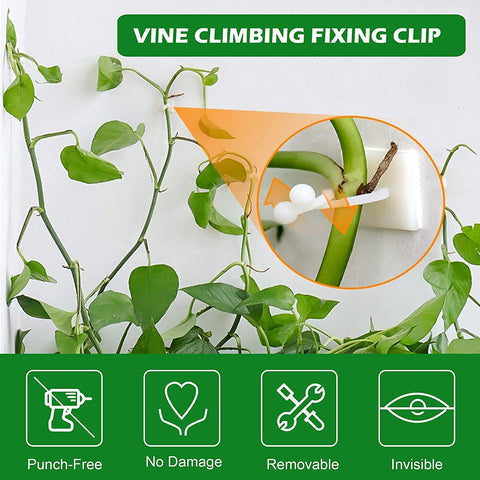 3-IN-1 PLANT CLIMBING CLIPS(PACK OF 50)