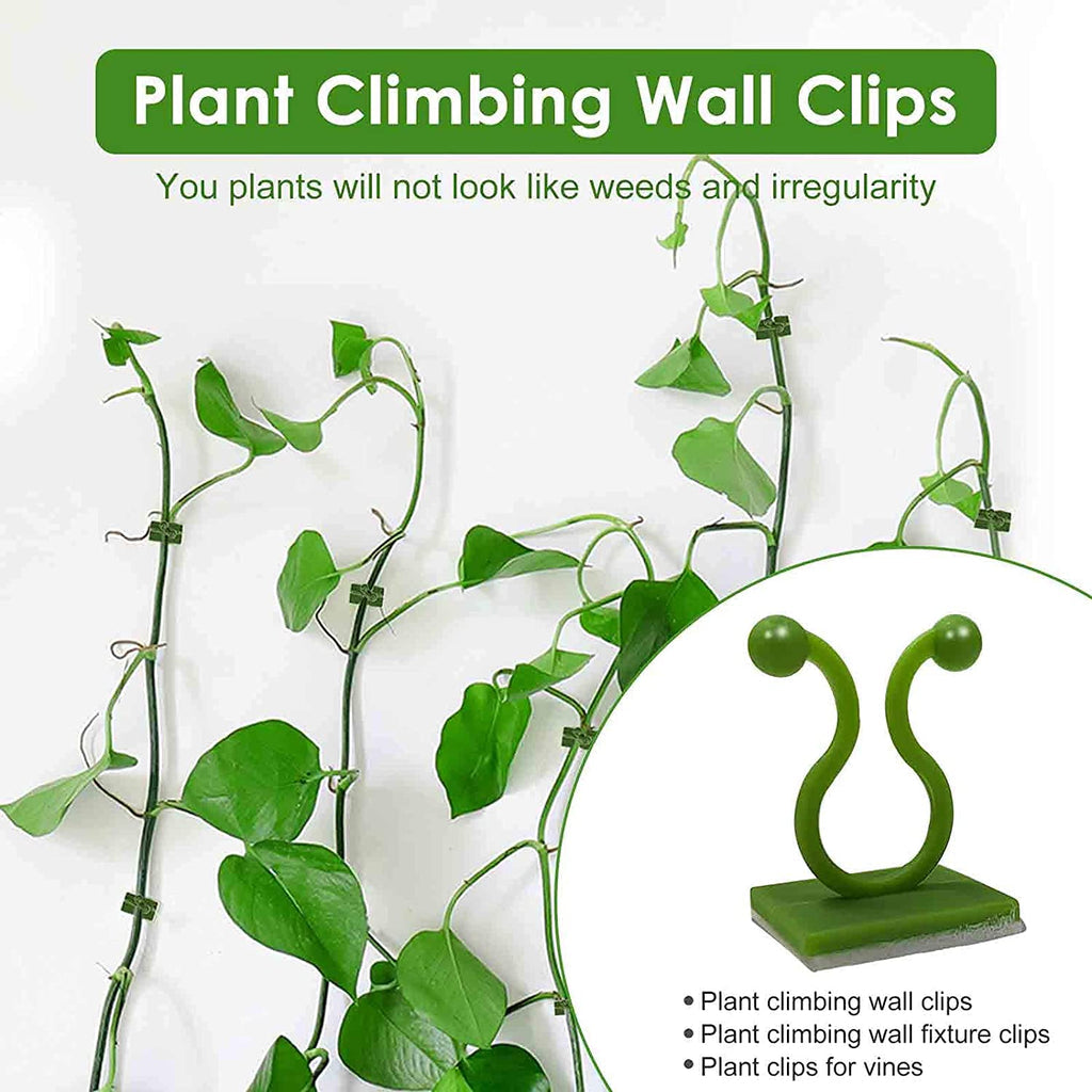 3-IN-1 PLANT CLIMBING CLIPS(PACK OF 50)